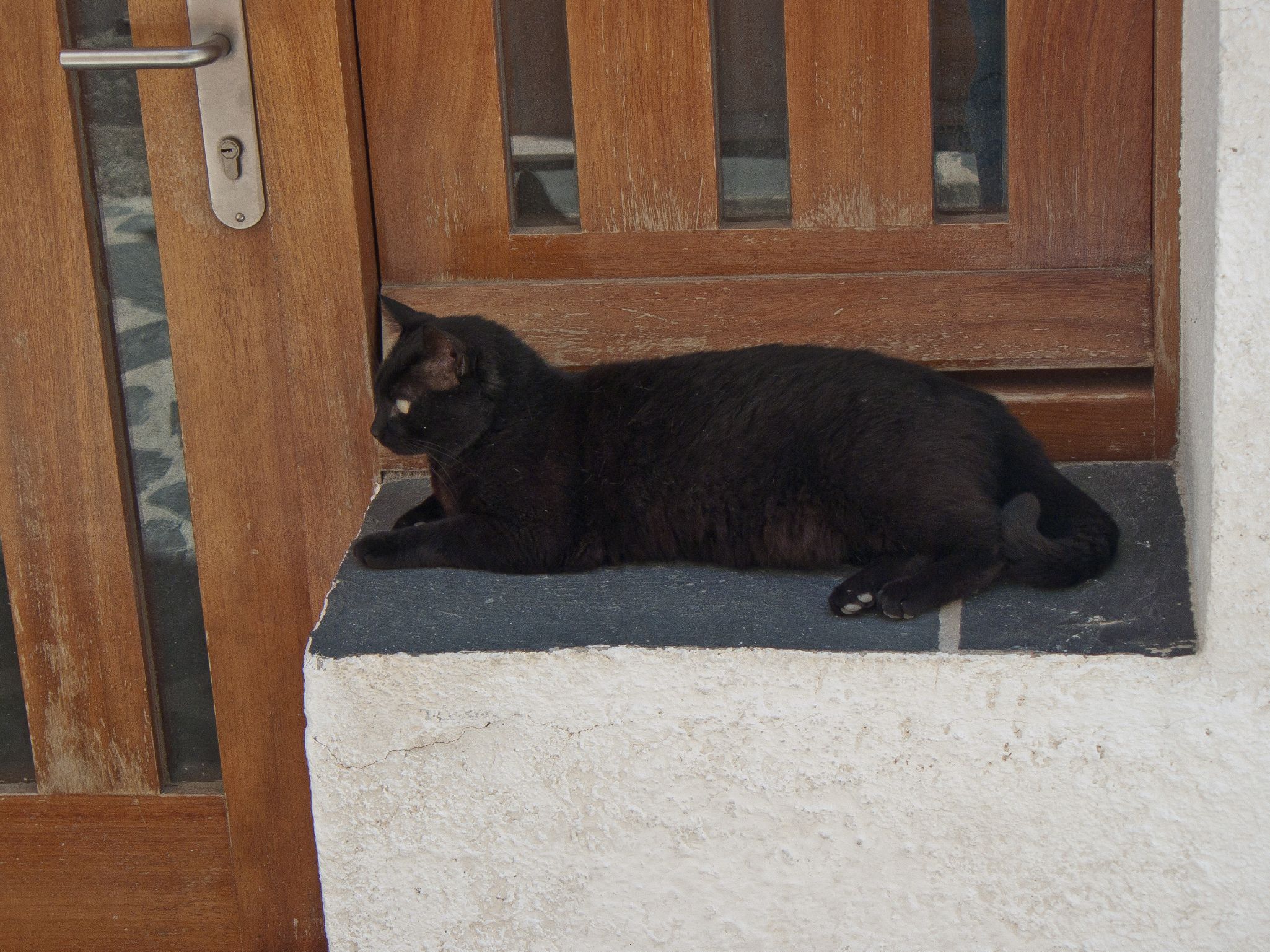Cadaqués Magda 2